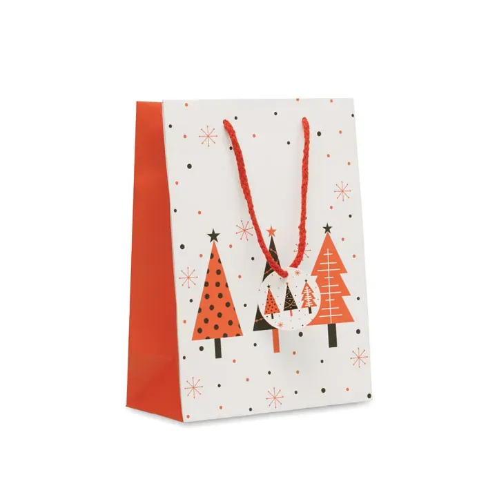 Gift paper bag medium - CX1562 (MOCN#06)